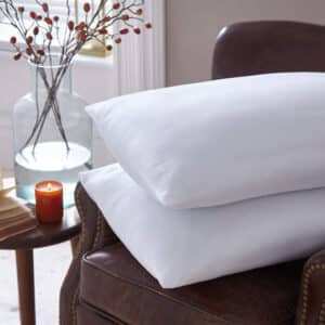 Silentnight Fall into Winter Pillow Pair