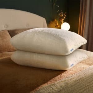 Silentnight Teddy Pillow Pair