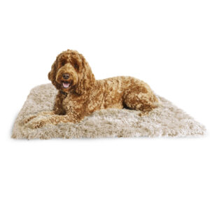Silentnight Waterproof and Calming Pet Blanket Bundle- Navy/Natural