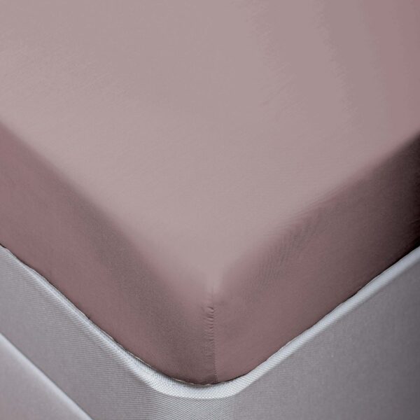 Silentnight Pure Cotton Fitted Sheet - Mauve