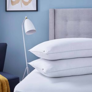 Silentnight So Cool Pillow Pair